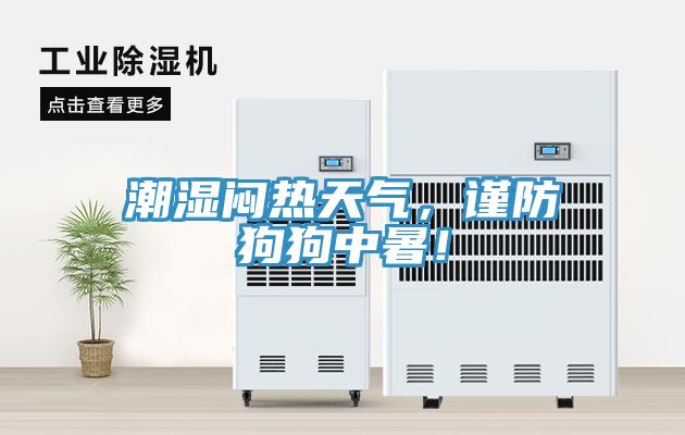 潮湿闷热天气，谨防狗狗中暑！