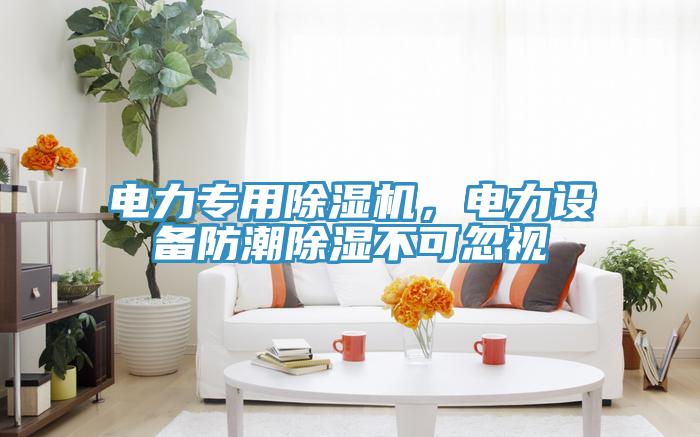 电力专用免费看操逼软件，电力设备防潮除湿不可忽视