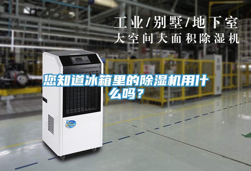 您知道冰箱里的免费看操逼软件用什么吗？