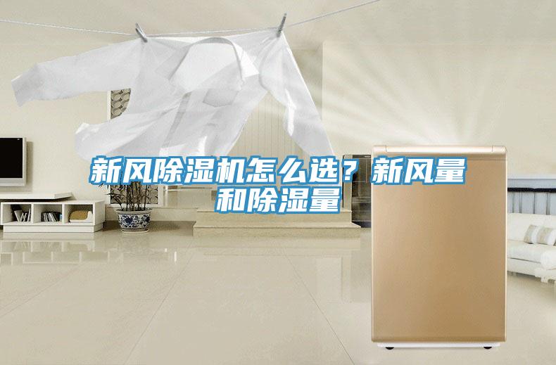 新风免费看操逼软件怎么选？新风量和除湿量