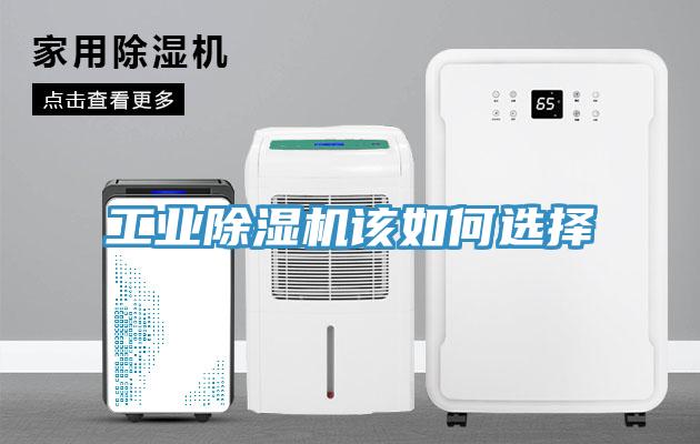 工业免费看操逼软件该如何选择