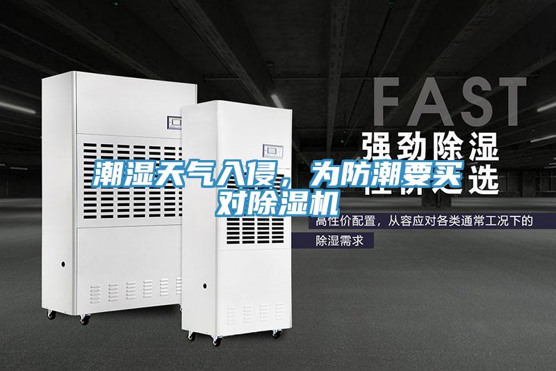 潮湿天气入侵，为防潮要买对免费看操逼软件