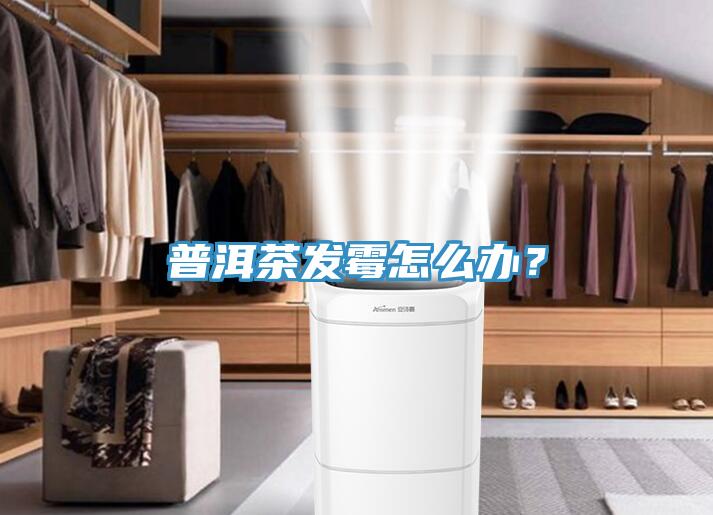 普洱茶发霉怎么办？