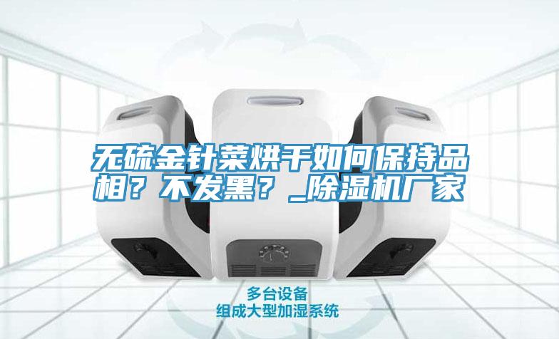 无硫金针菜烘干如何保持品相？不发黑？_免费看操逼软件厂家