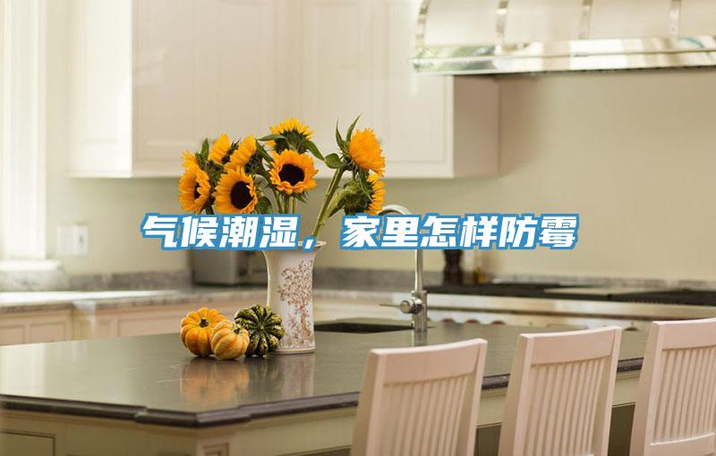气候潮湿，家里怎样防霉