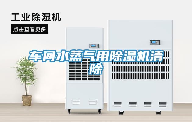 车间水蒸气用免费看操逼软件清除