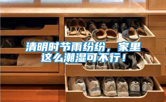 清明时节雨纷纷，家里这么潮湿可不行！