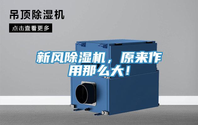 新风免费看操逼软件，原来作用那么大！