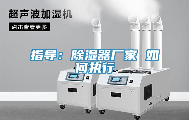 指导：除湿器厂家 如何执行