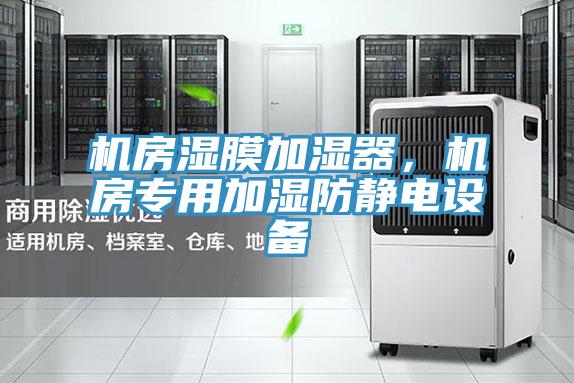 机房湿膜加湿器，机房专用加湿防静电设备