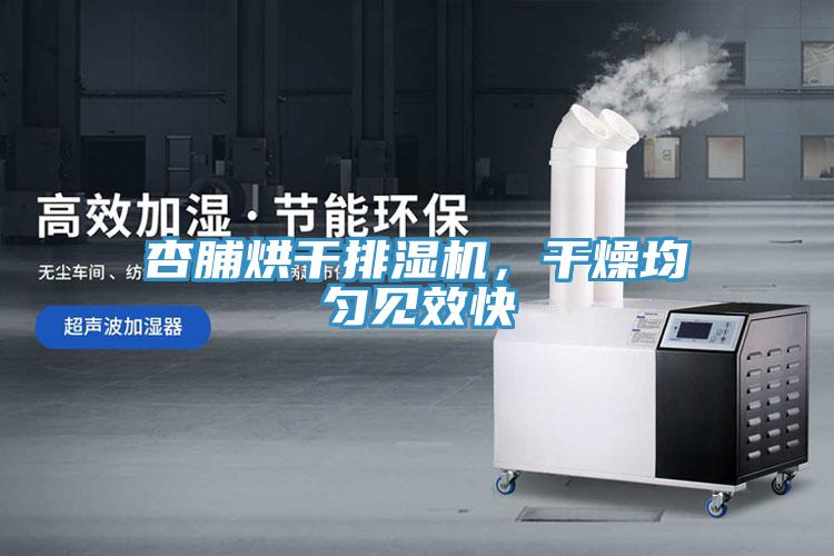 杏脯烘干排湿机，干燥均匀见效快