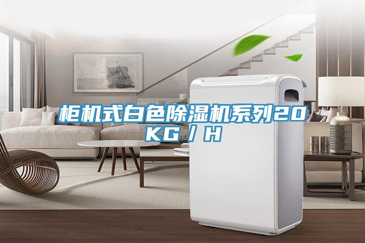 柜机式白色免费看操逼软件系列20KG／H