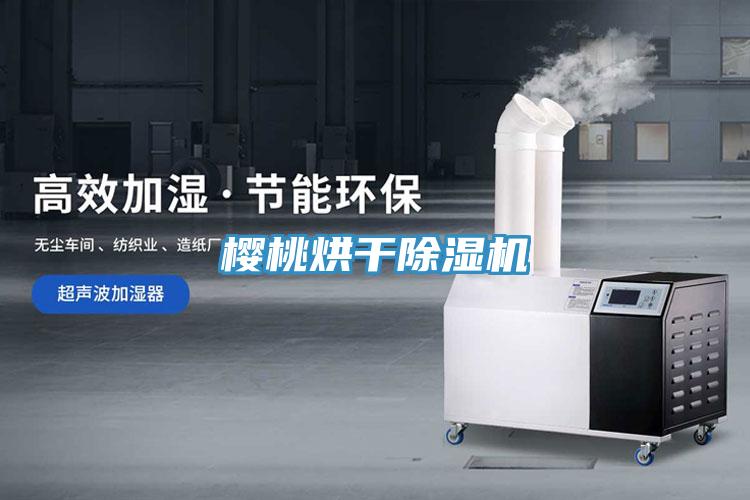 樱桃烘干免费看操逼软件