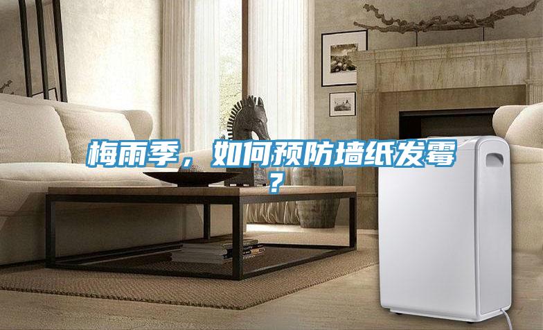 梅雨季，如何预防墙纸发霉？