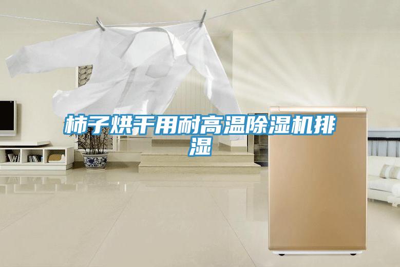柿子烘干用耐高温免费看操逼软件排湿