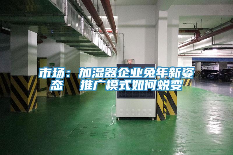 市场：加湿器企业兔年新姿态  推广模式如何蜕变
