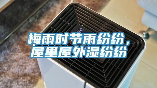 梅雨时节雨纷纷，屋里屋外湿纷纷