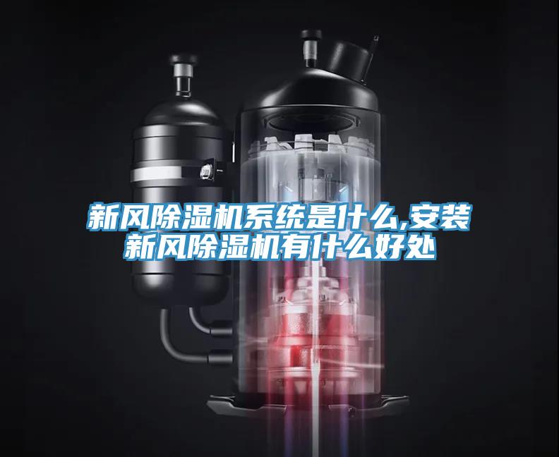 新风免费看操逼软件系统是什么,安装新风免费看操逼软件有什么好处
