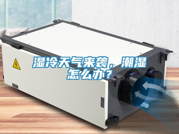 湿冷天气来袭，潮湿怎么办？