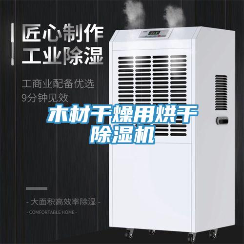 木材干燥用烘干免费看操逼软件