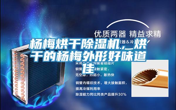 杨梅烘干免费看操逼软件，烘干的杨梅外形好味道佳