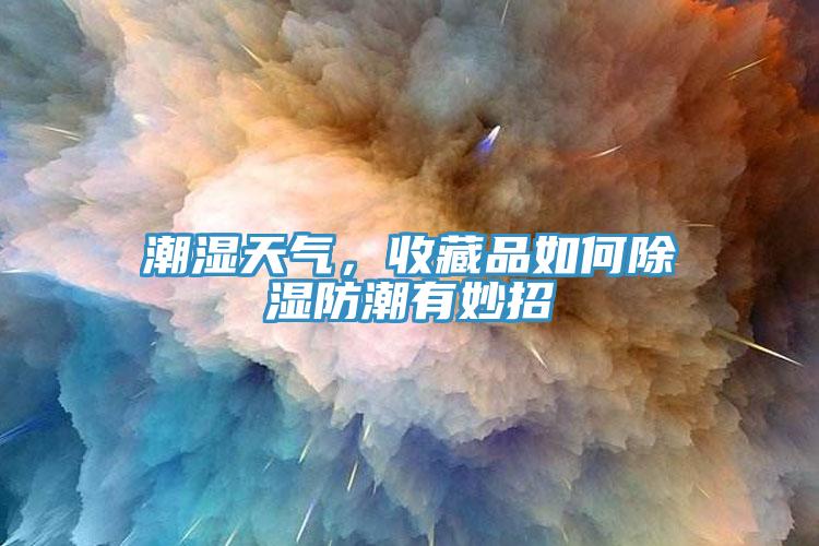 潮湿天气，收藏品如何除湿防潮有妙招