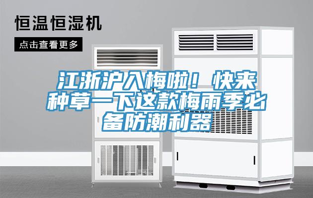 江浙沪入梅啦！快来种草一下这款梅雨季必备防潮利器