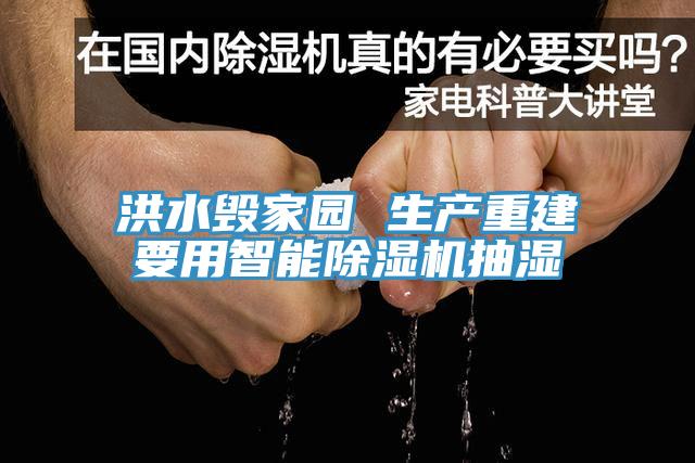 洪水毁家园 生产重建要用智能免费看操逼软件抽湿
