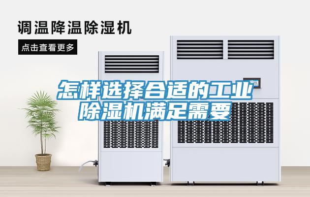 怎样选择合适的工业免费看操逼软件满足需要