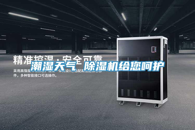潮湿天气 免费看操逼软件给您呵护