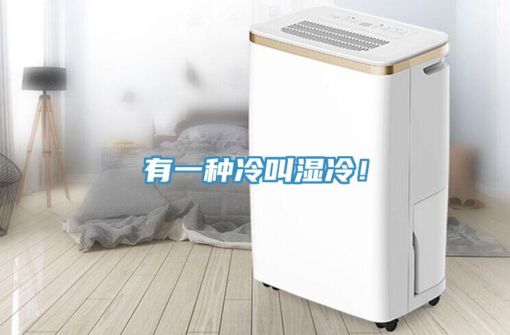有一种冷叫湿冷！