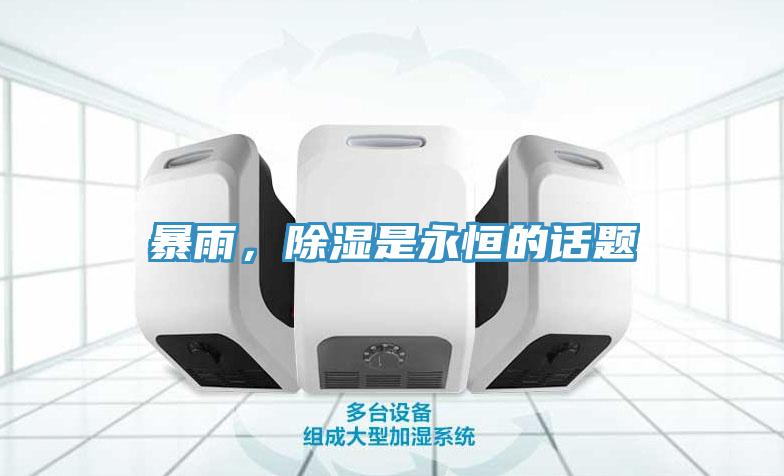 暴雨，除湿是永恒的话题