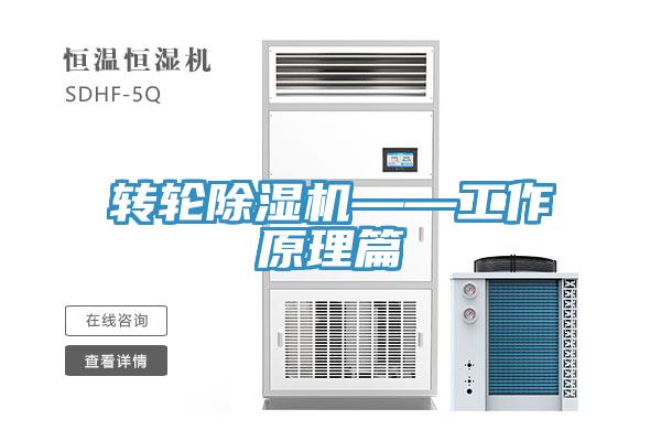 转轮免费看操逼软件——工作原理篇