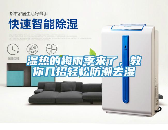 湿热的梅雨季来了，教你几招轻松防潮去湿