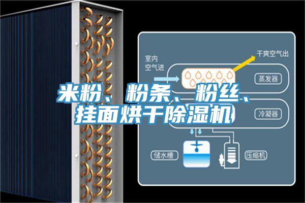 米粉、粉条、粉丝、挂面烘干免费看操逼软件
