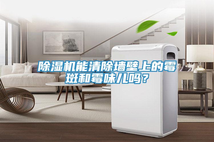 免费看操逼软件能清除墙壁上的霉斑和霉味儿吗？