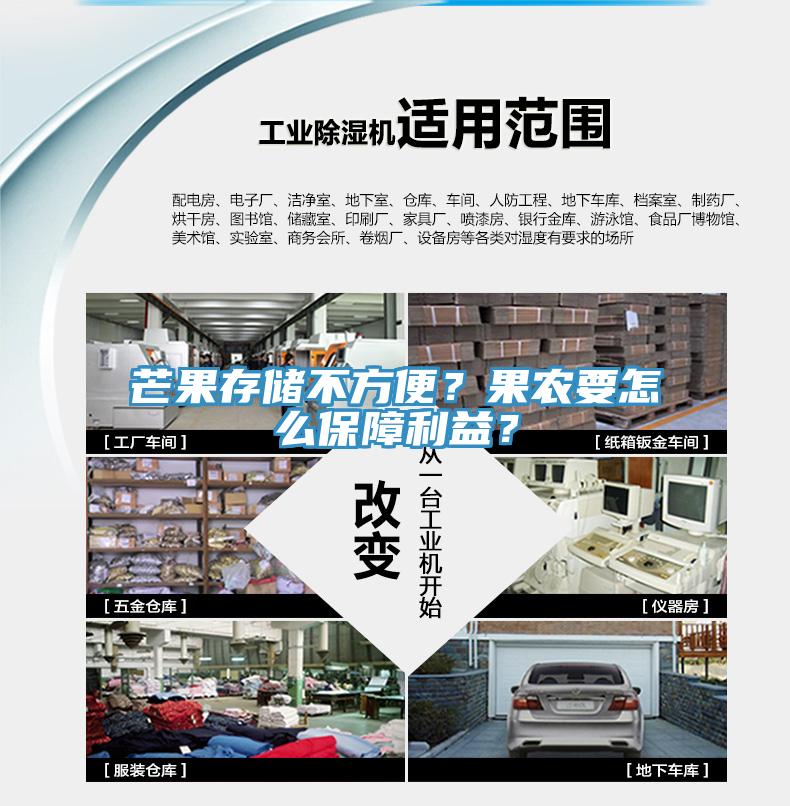 芒果存储不方便？果农要怎么保障利益？