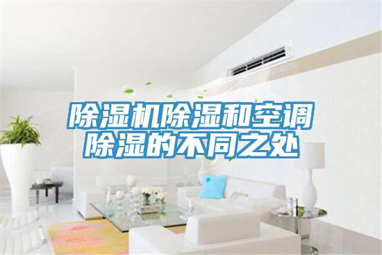 免费看操逼软件除湿和空调除湿的不同之处