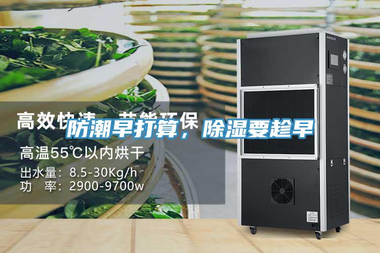 防潮早打算，除湿要趁早