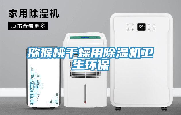 猕猴桃干燥用免费看操逼软件卫生环保