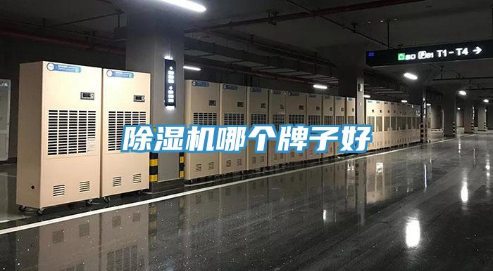 免费看操逼软件哪个牌子好