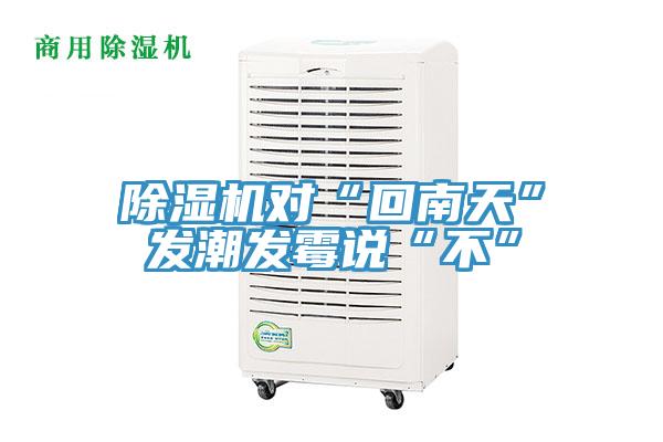 免费看操逼软件对“回南天”发潮发霉说“不”