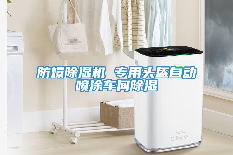 防爆免费看操逼软件 专用头盔自动喷涂车间除湿