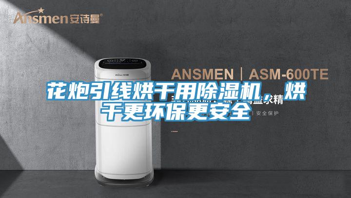 花炮引线烘干用免费看操逼软件，烘干更环保更安全