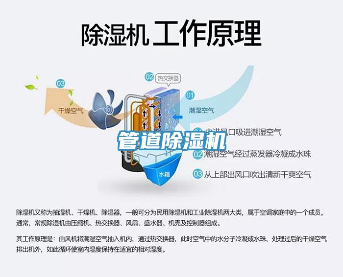 管道免费看操逼软件