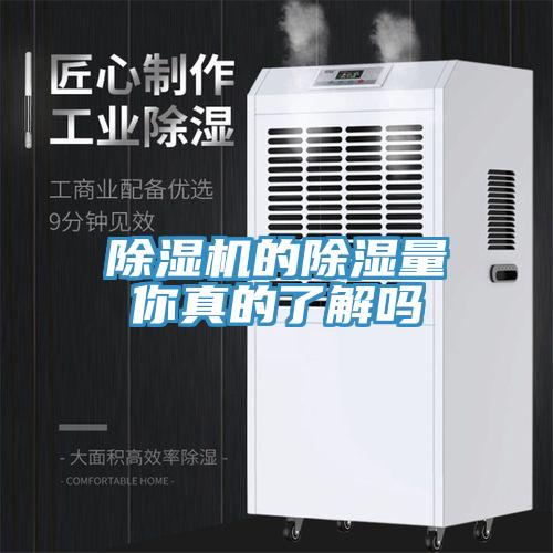 免费看操逼软件的除湿量你真的了解吗