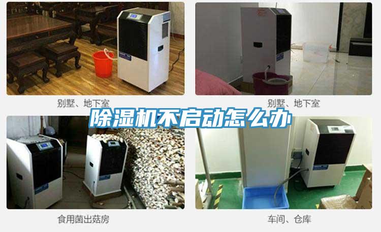 免费看操逼软件不启动怎么办