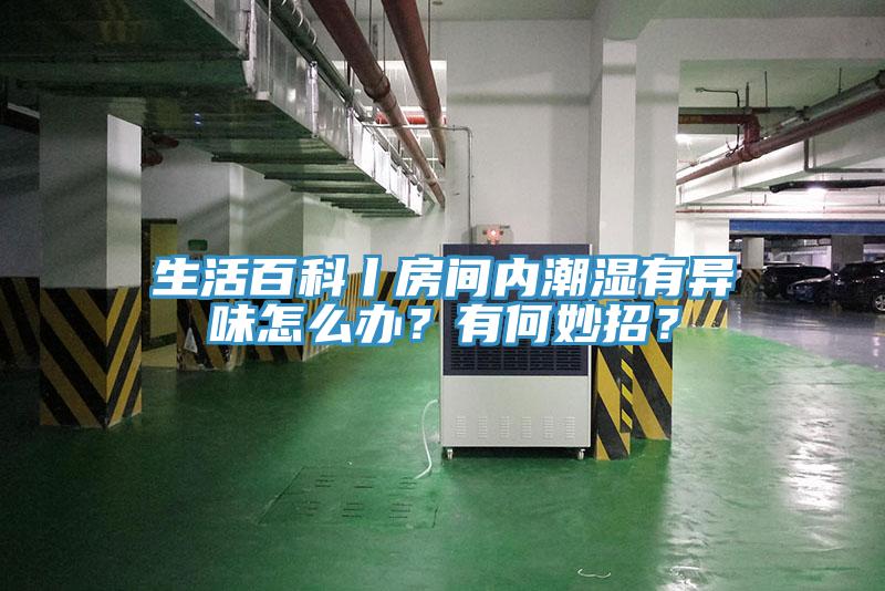 生活百科丨房间内潮湿有异味怎么办？有何妙招？