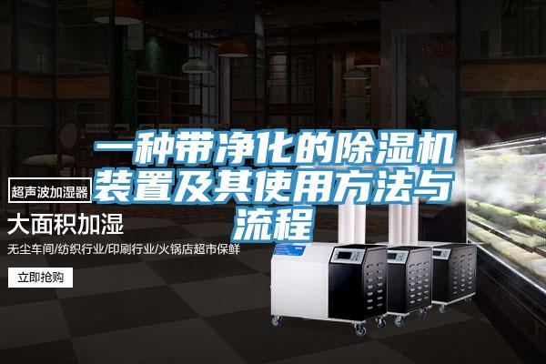 一种带净化的免费看操逼软件装置及其使用方法与流程
