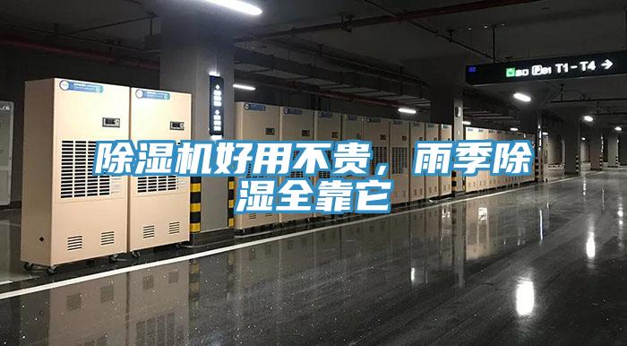 免费看操逼软件好用不贵，雨季除湿全靠它
